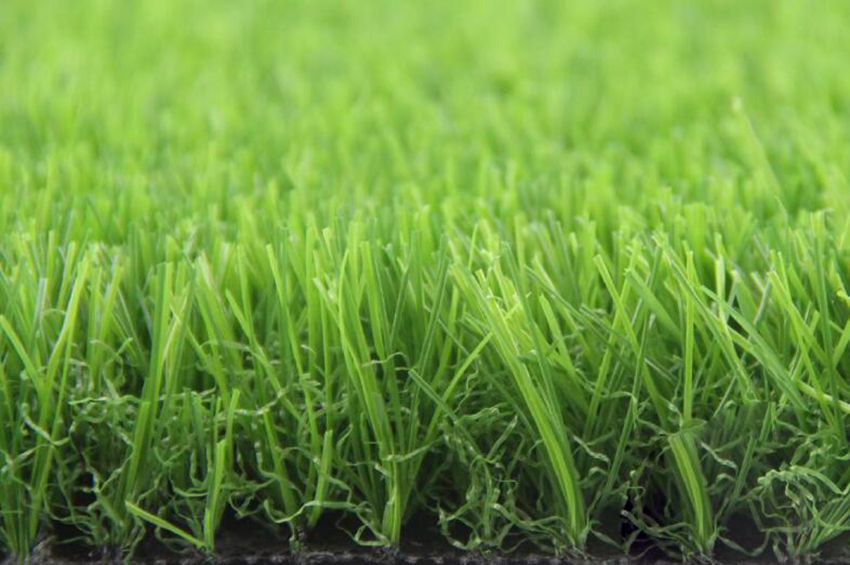 ��ѡ���������E525216GDQ11033