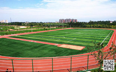 ������˿