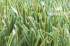 ���������ƺ,�����˹���ƺ,�����˹���Ƥ