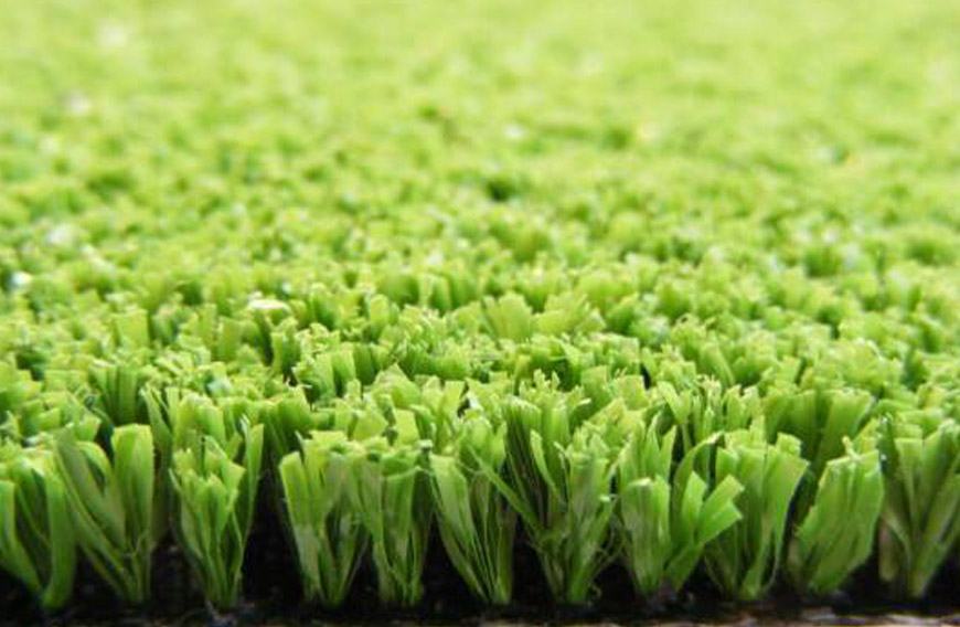 ���������ƺA310324WS07611