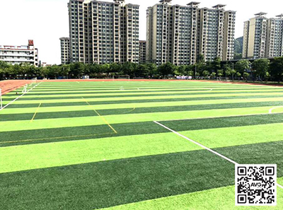 ����������ѧ