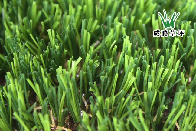 �Ƶ��̺,���ݵ�̺,���ȵ�̺����