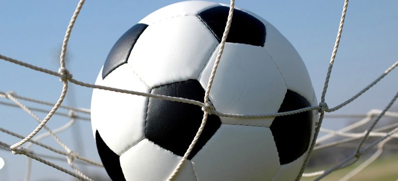 ���������ƺ