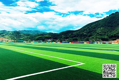 ������ʯ������ѵ������