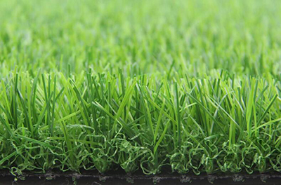 �������в�