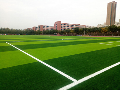 ����������ѧ