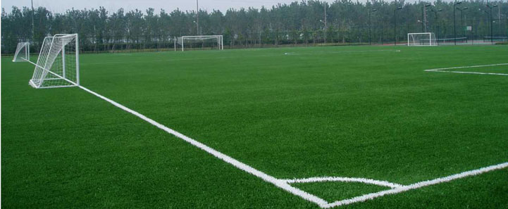 ���ɹ�������������ѧ�����ƺ