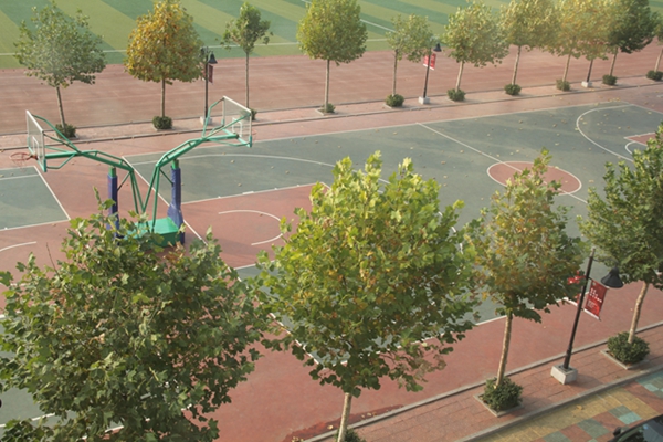 ��ɽ��������Ӣ�ź��ѧУ