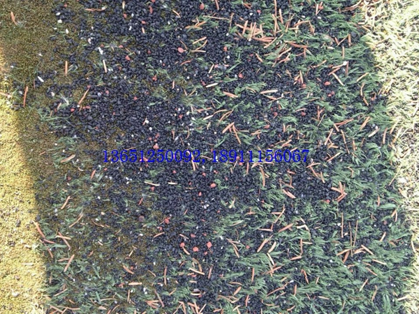 �����ܽ��ڿ���