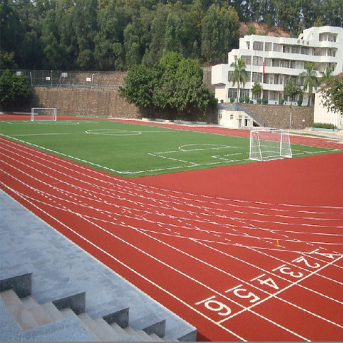 ���ڸ���������Сѧ