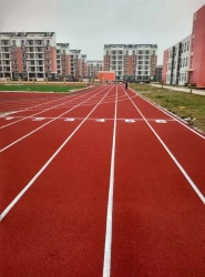 ����ʡ����������Է��ѧ 300���ܵ�_��������_�㶫