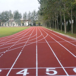 �麣��ƺ��ѧ_�����˶����永��_�㶫