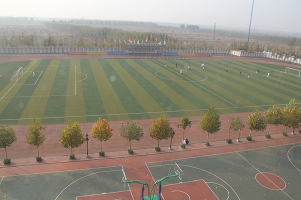 ��ɽ��������Ӣ�ź��ѧУ