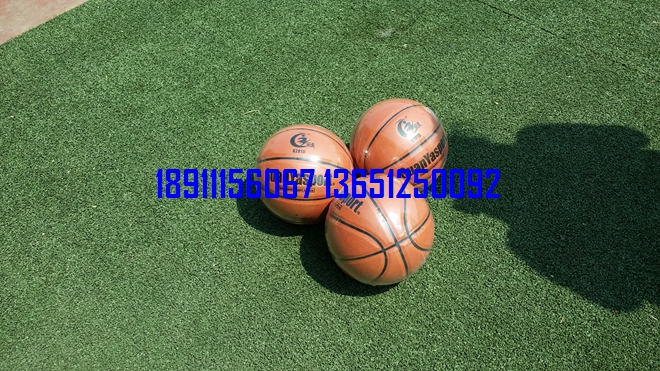 ����С������������