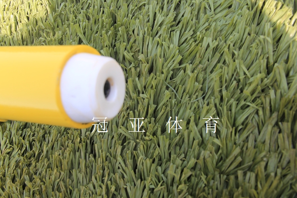 ˫������ѵ����