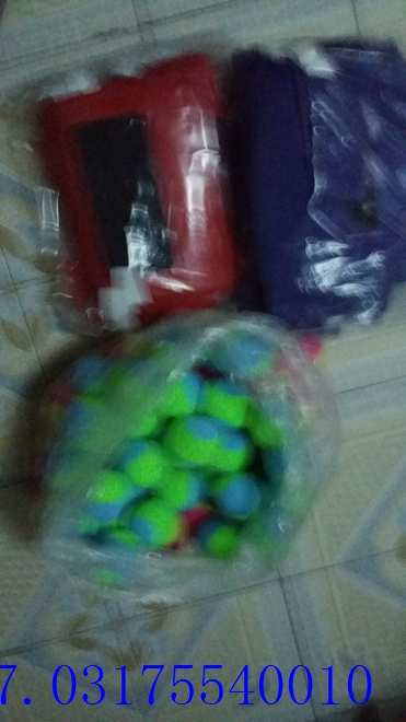 ճ�����˶�����