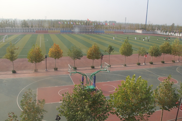 �ܽ�����