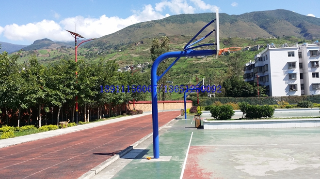 ��СѧԲ�������