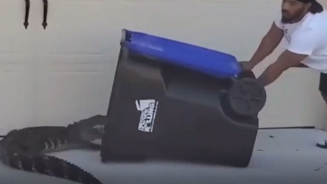 ��NBA����ǹ�����Ӳ����㲻����������˹