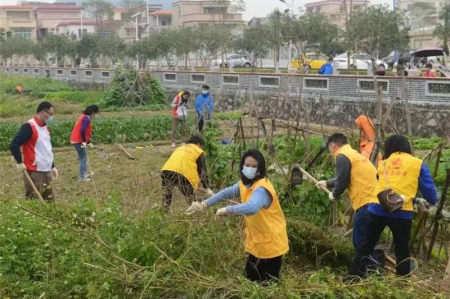 �����ֵ������Ӽ�ͥ��չ־Ը���񣬸��ܴ�ͳũ���Ļ�����