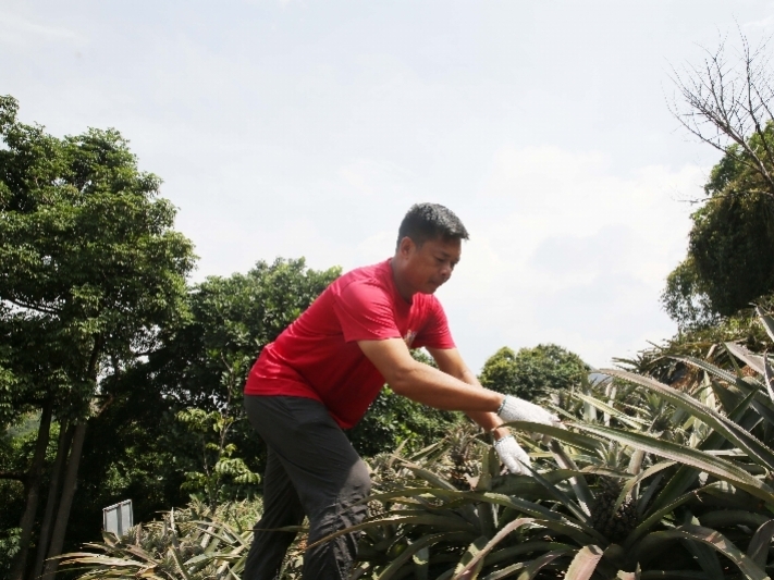 ������ũ����ս��������λ�½���9��19������