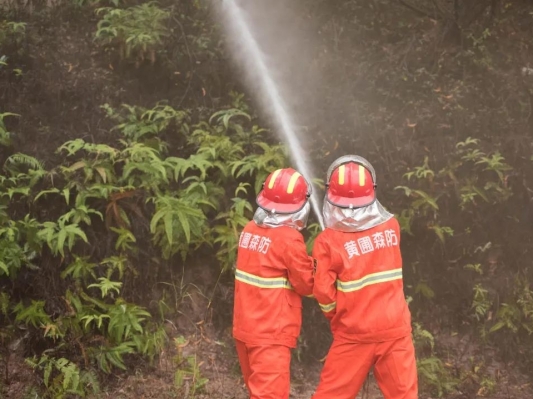 ��ʱ����ɽ�ֻ��֡����顱��������չɭ�ֻ���Ӧ����������