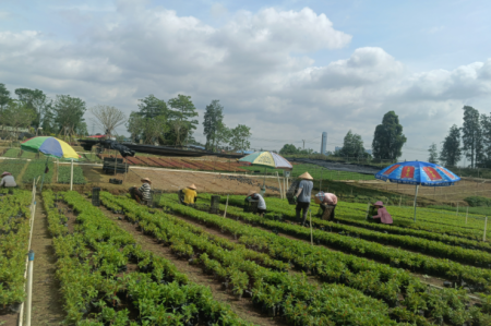 �������ݣ���������ȫ�е�һ��