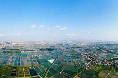 ����������ɳ����Щ���ʡ������