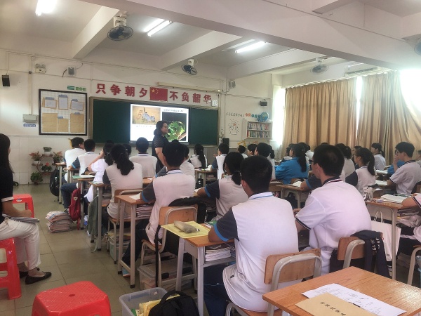 �ۿ���������������г���ʾ�����������ʦ��ѧ����ѡ�����