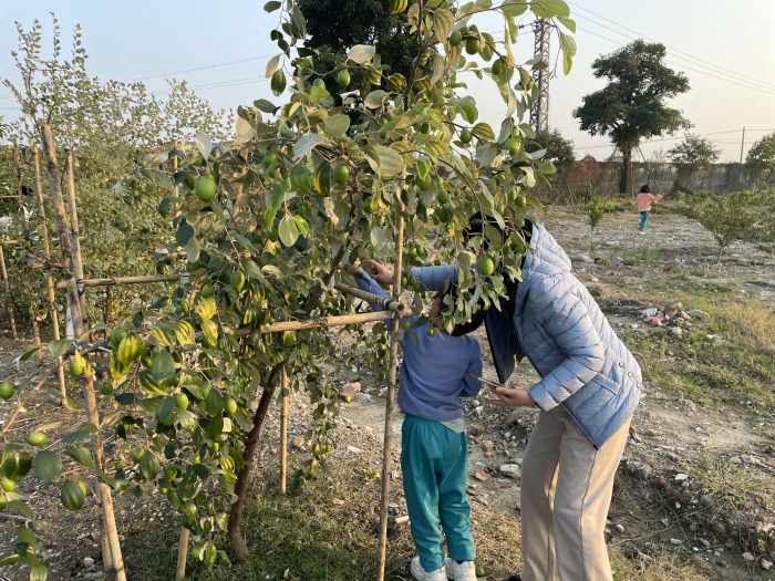 �����Ͷ�֮����Ʒζ����֮��