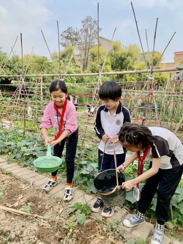 1678675341930005651.jpg 1678675341930005651.jpg