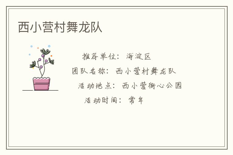 ��СӪ��������