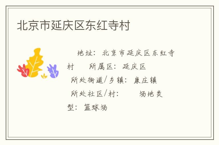 �����������������´�