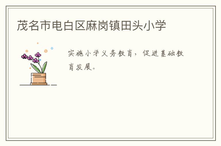 ï���е�����������ͷСѧ