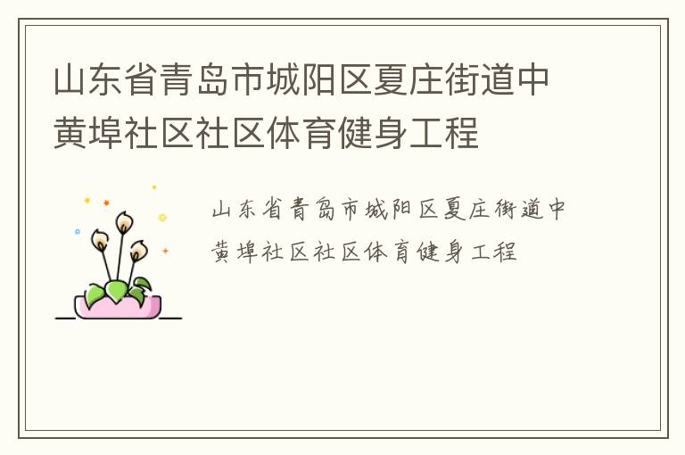 ɽ��ʡ�ൺ�г�������ׯ�ֵ��лƲ���������������������