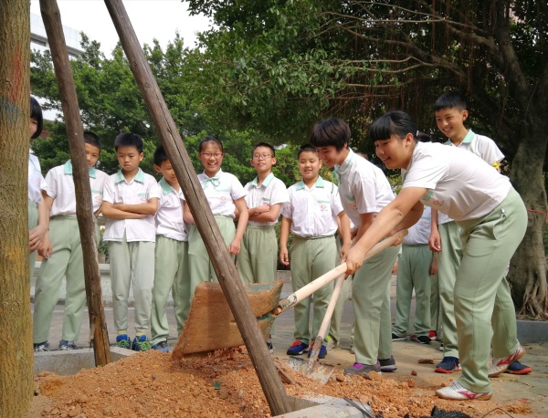 六5毕业树种植 (4).jpg