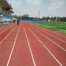 �巢 ѧУ�ܽ��ܵ� У԰�ܽ��ܵ� �ܽ��ܵ�