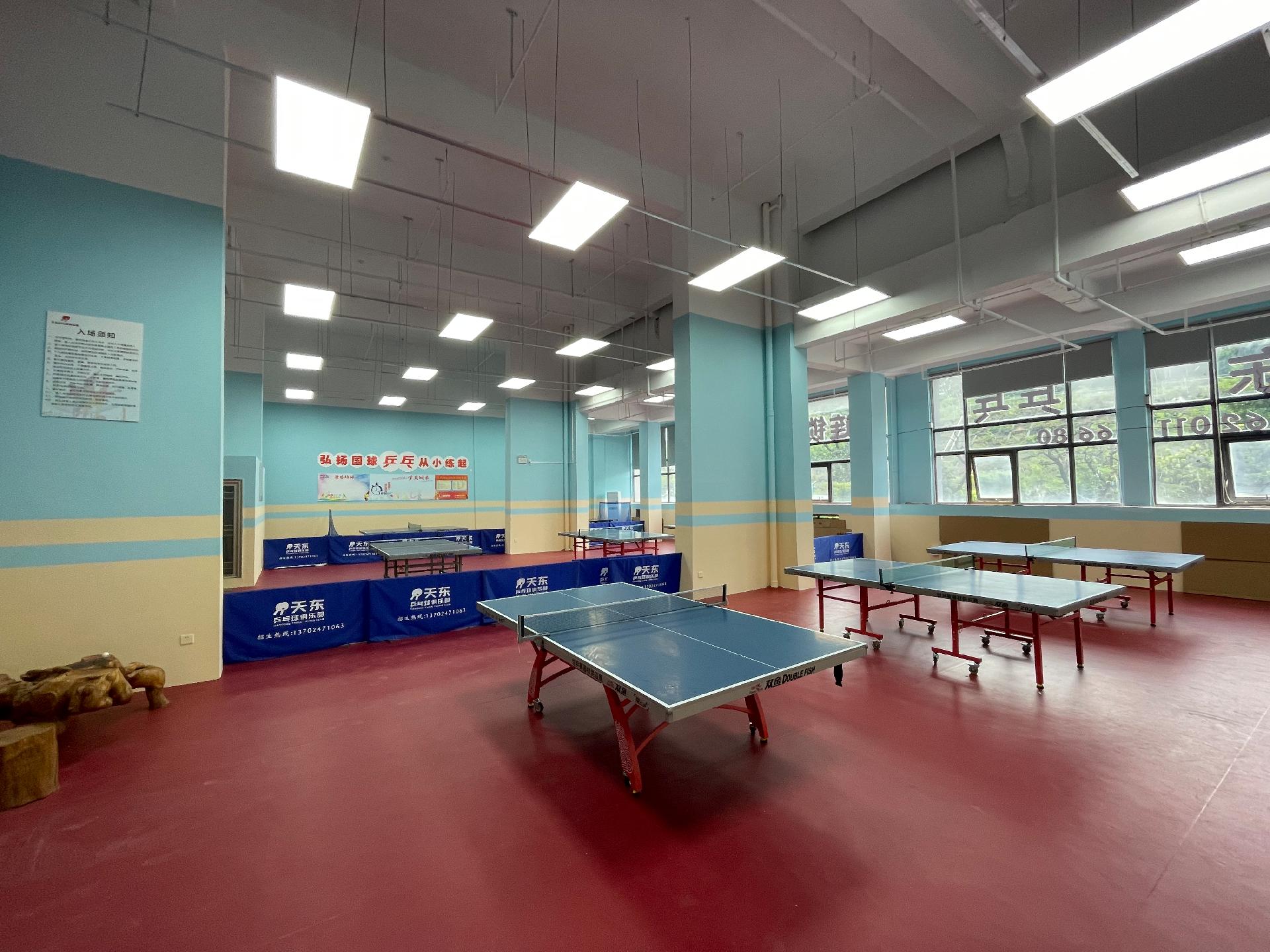 ����ƹ�����