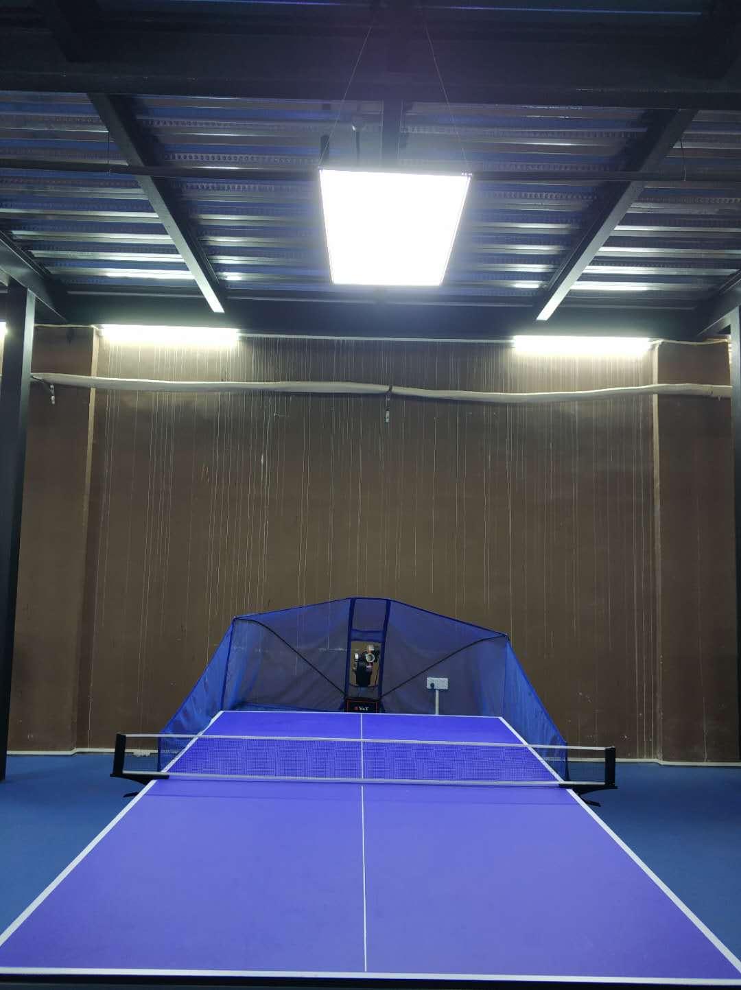 ����ƹ������ֲ�