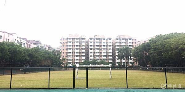 ������԰��������