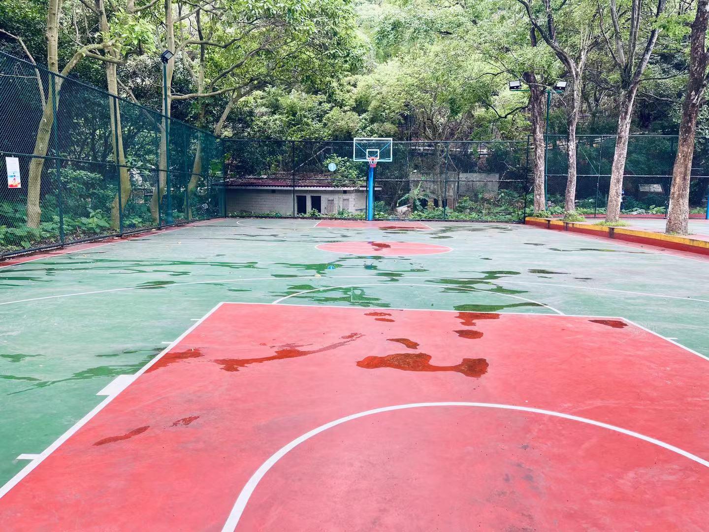 �����Ȱ���ѧ��