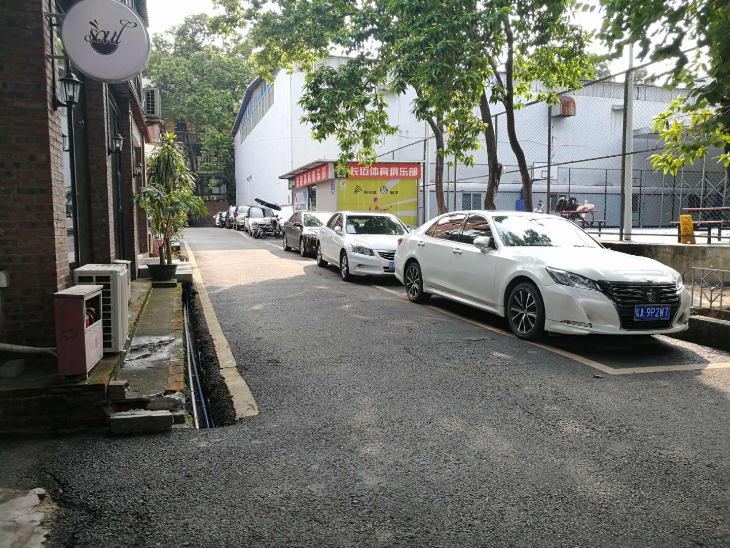 �����������ֲ�