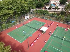 ������ѡ������ֲ�