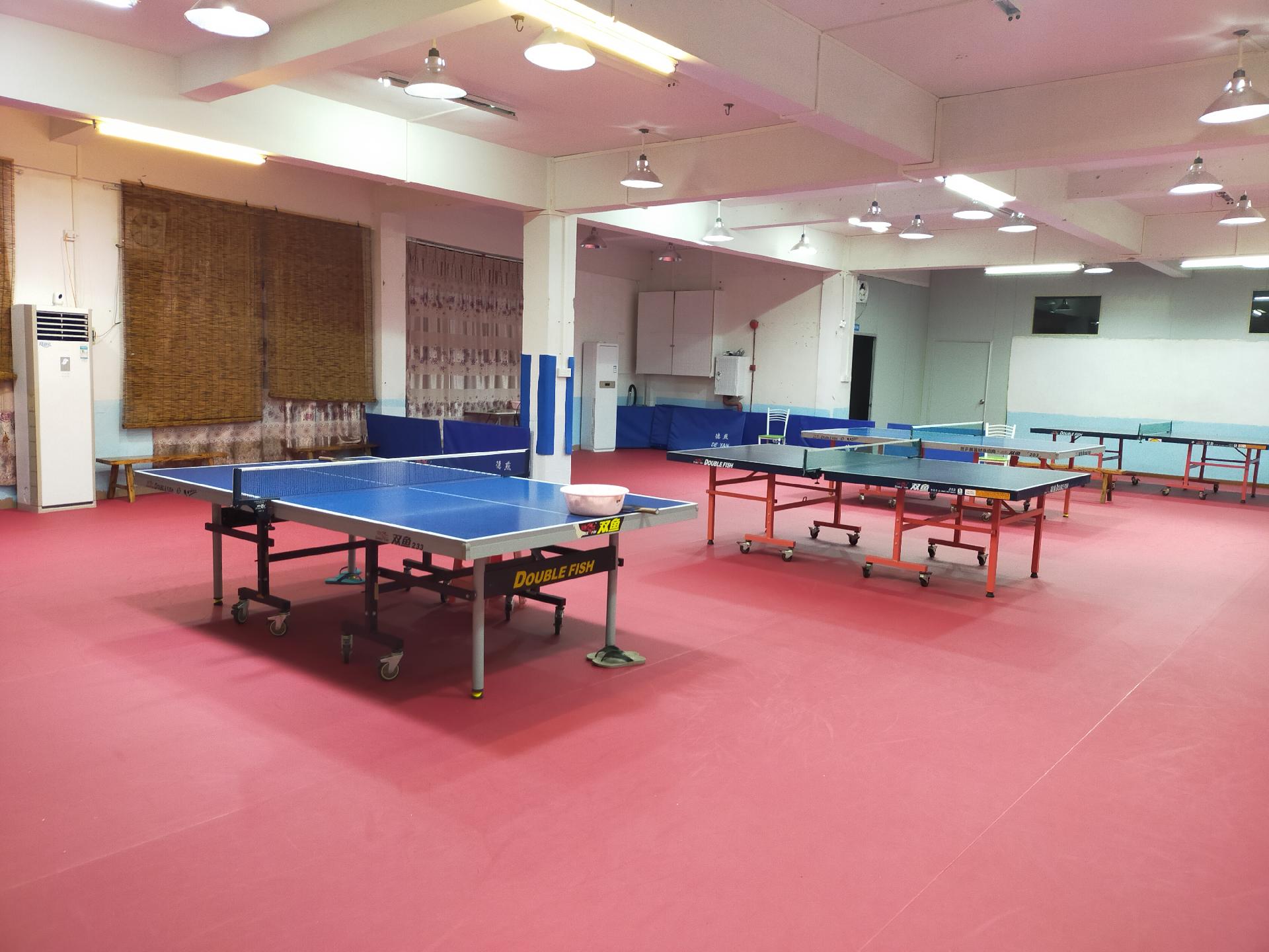 ����ƹ������