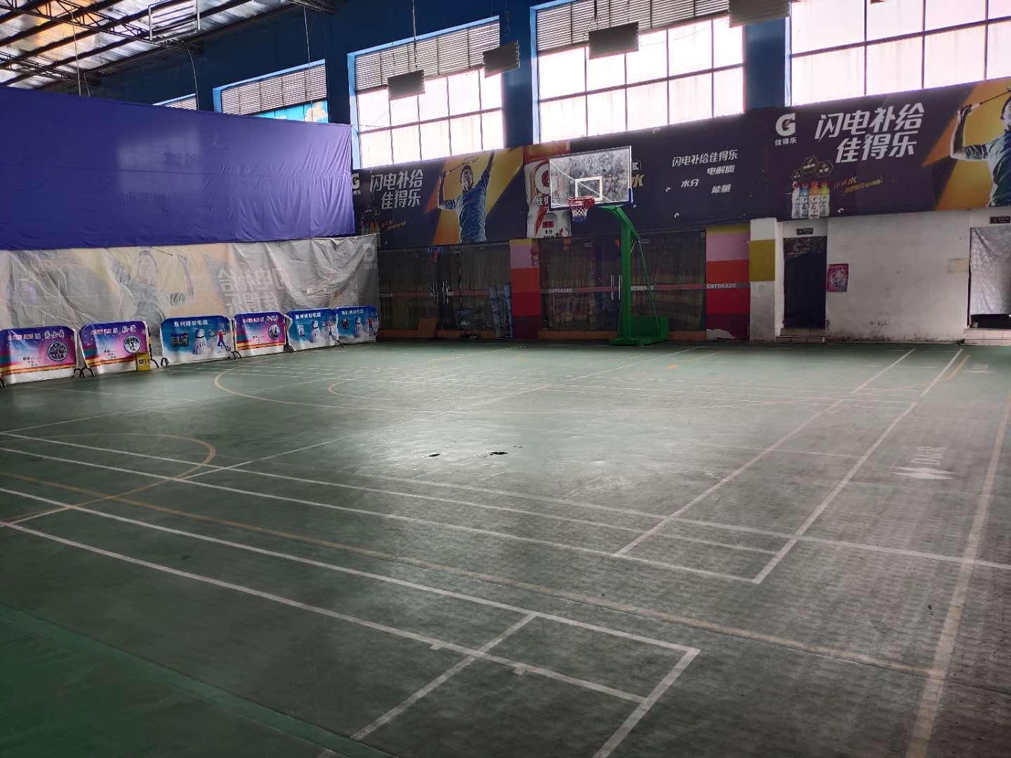 ������ƹ������