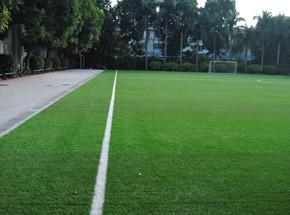 ����ͷ�ǿ������㳡����