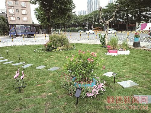 �������죬��Ⱥ�����������