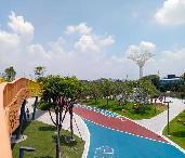 ���ſ�С��԰����ɫ�򳡡����Ӳ�������˳�³���Ʒ���������������ũ��?