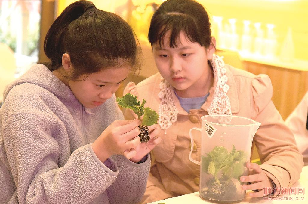 СС���ӹ� �ƴ�����̨