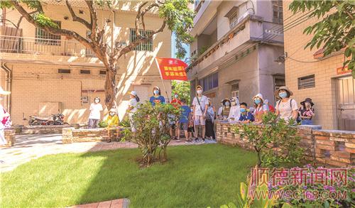 �á��廨���򡱴�����ɫ����С԰��